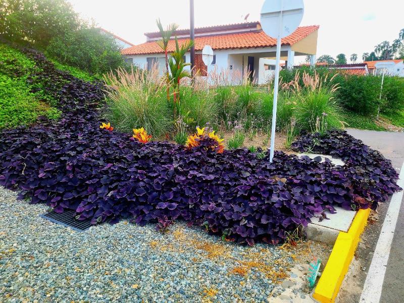 Casa Campestre en zona exclusiva con Jacuzzi a 10 min del aeropuerto 20 min parque del café WiFi parqueadero privado vigilancia 24 hrs y amplias zonas sociales - image 45