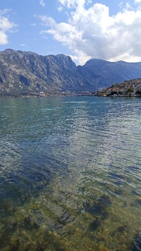 Vibrant BayView Apartment Kotor - image 6