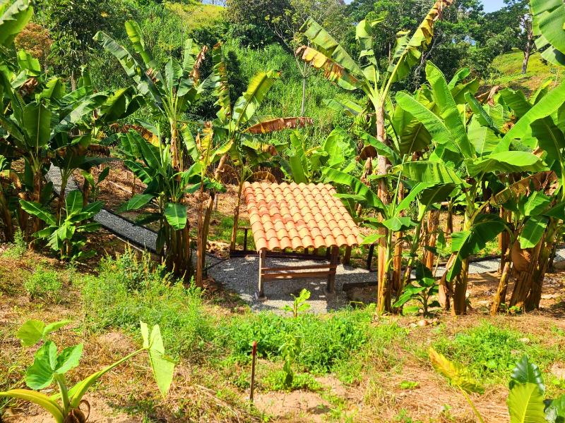 Casa Campestre en zona exclusiva con Jacuzzi a 10 min del aeropuerto 20 min parque del café WiFi parqueadero privado vigilancia 24 hrs y amplias zonas sociales - image 32