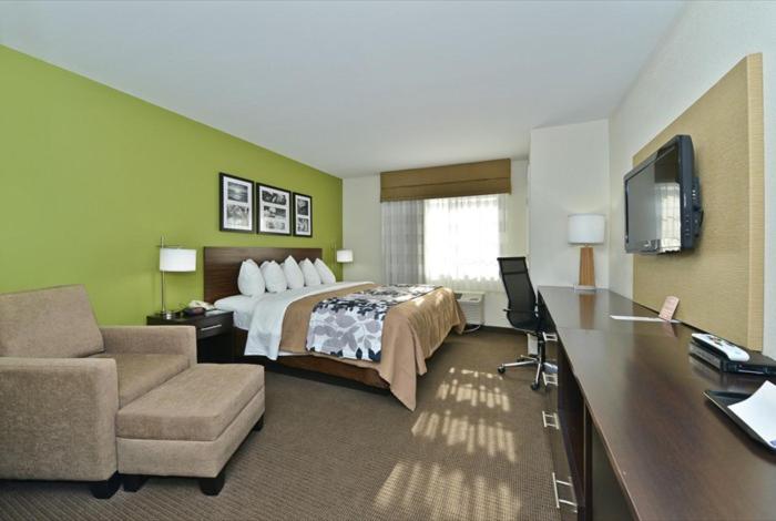 King Room - Accessible/Non-Smoking image 2