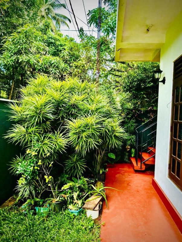 Dilini's Place - image 9