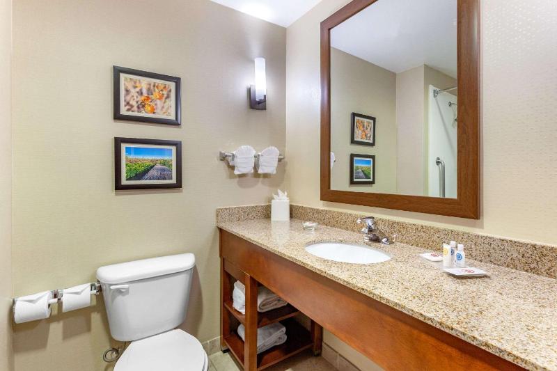 Comfort Suites Glendale State Farm Stadium Area - image 24