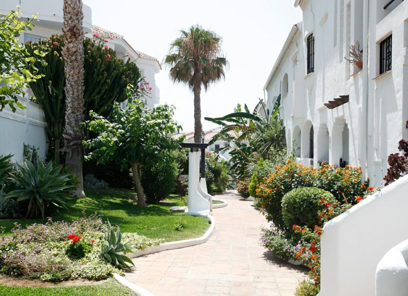 Albatros Playa Club - image 4