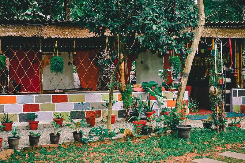 Pachamama Home Stay - image 10