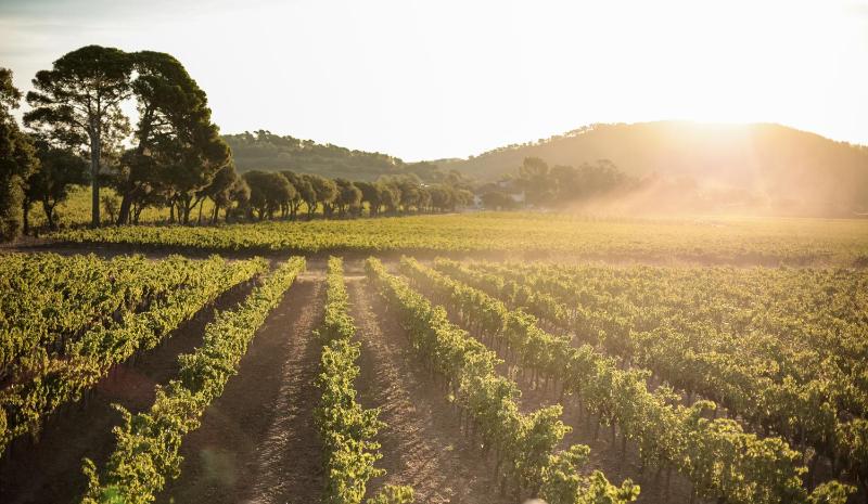 Holiday Home image 1