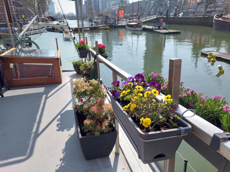 Boat Rooms on Water b&b - image 14