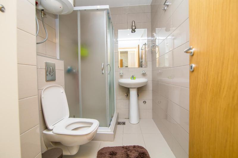 Standard One-Bedroom Apartment image 4