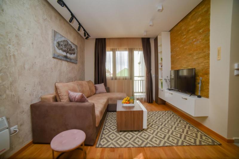 Deluxe One-Bedroom Apartment image 4