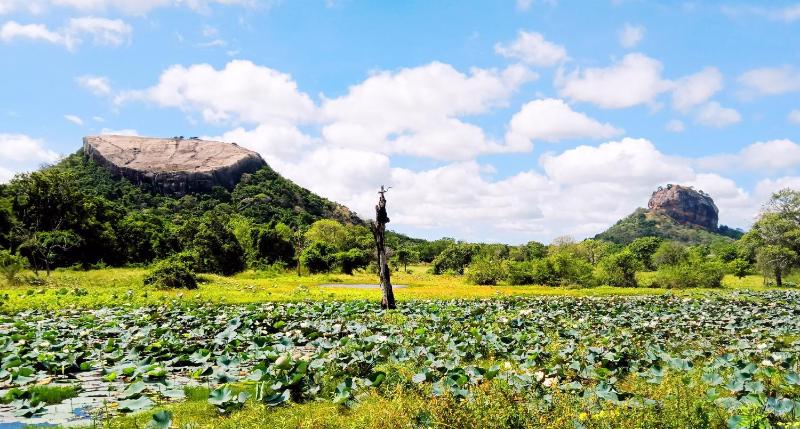 The Sigiriya Rock Gate Chalet - image 4