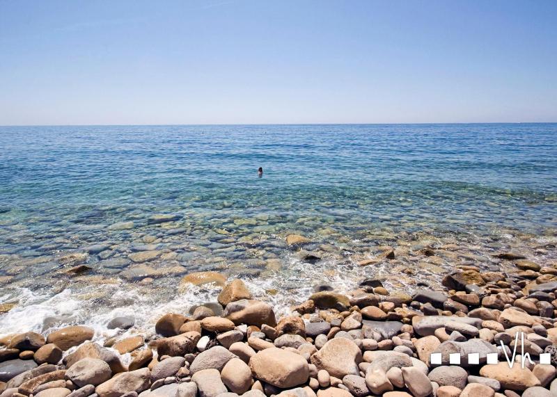 VH CostaBlanca - PINETS - image 22