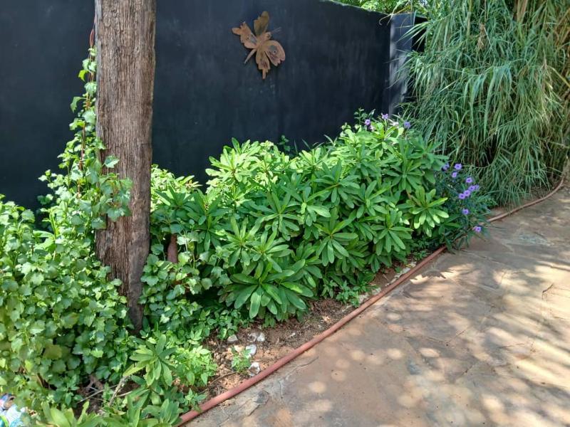 Urban Villa 25 - image 9