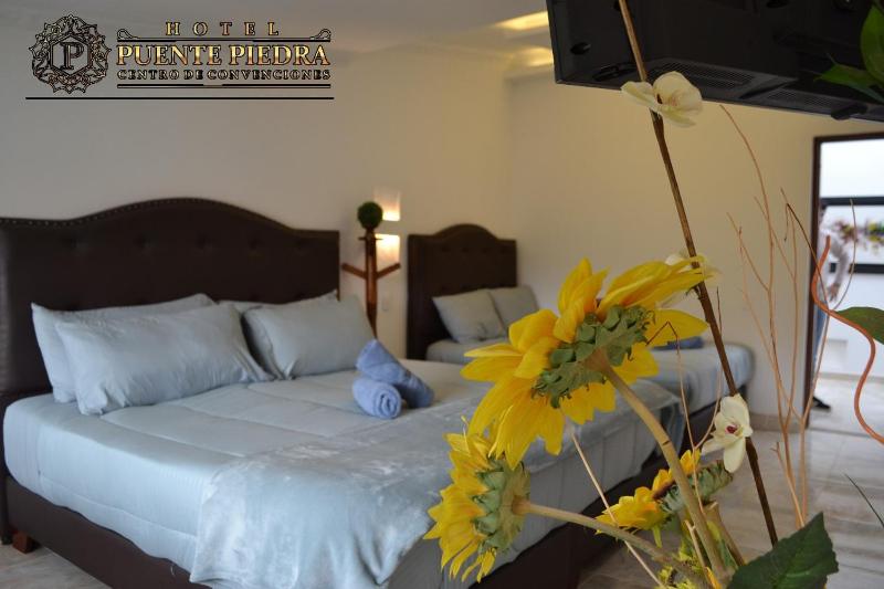 Hotel PUENTE PIEDRA PARK - image 8