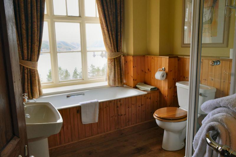 Premier Lake View Room image 2