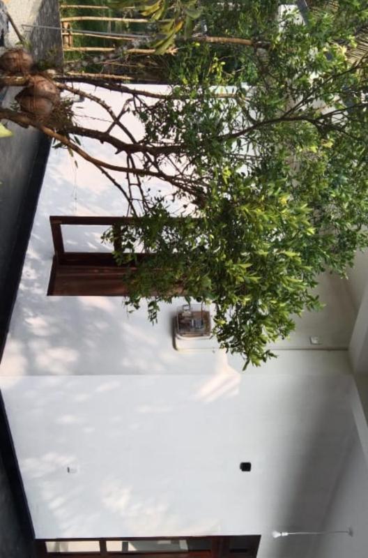 VILLA ELEGANT - Weligama - image 8