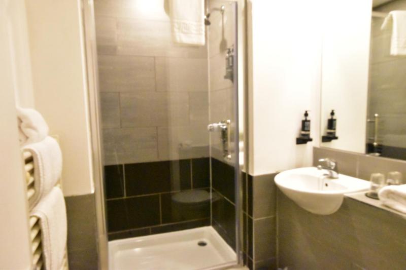 Standard Twin Room image 2