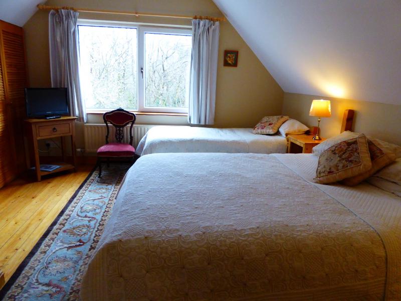 Camillaun Lodge with Lough Corrib Boat Hire - image 4