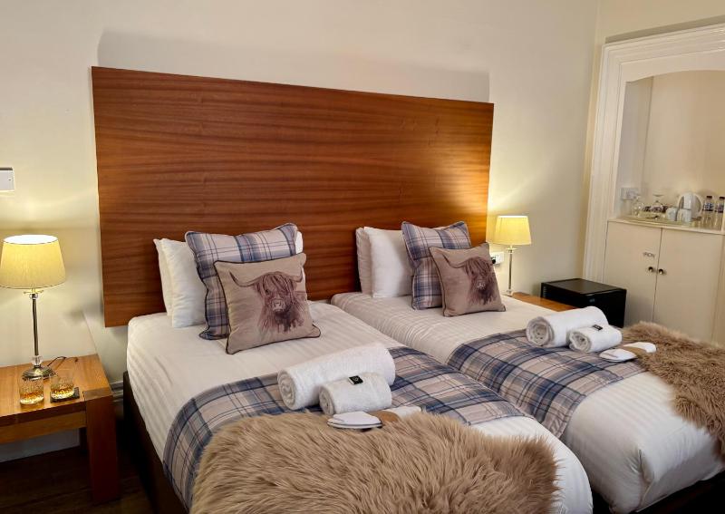 Superior Twin Room image 4