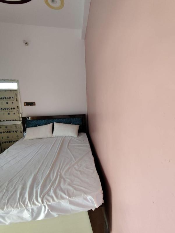 Maurya Palace - image 6