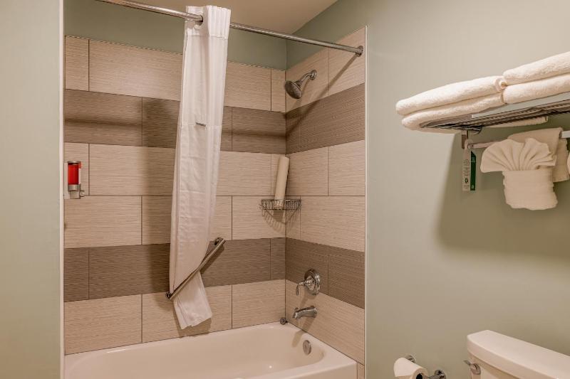 Deluxe Quadruple Room image 3