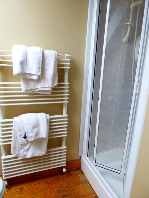 Comfort Triple Room with Shower image 2