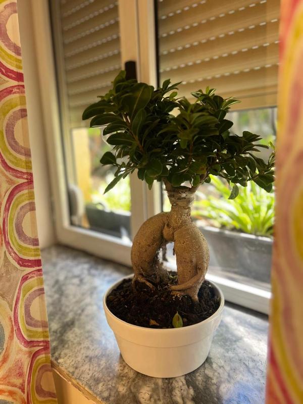 Elia Apartment - image 16