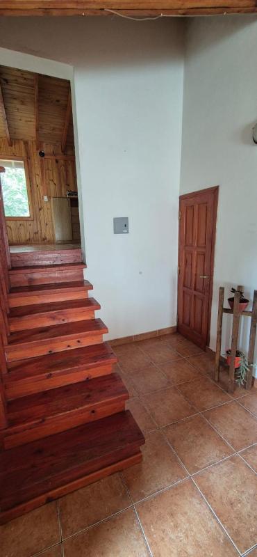 Horizonte Fueguino III - image 13