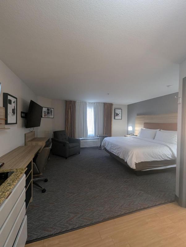 King Studio Suite image 2