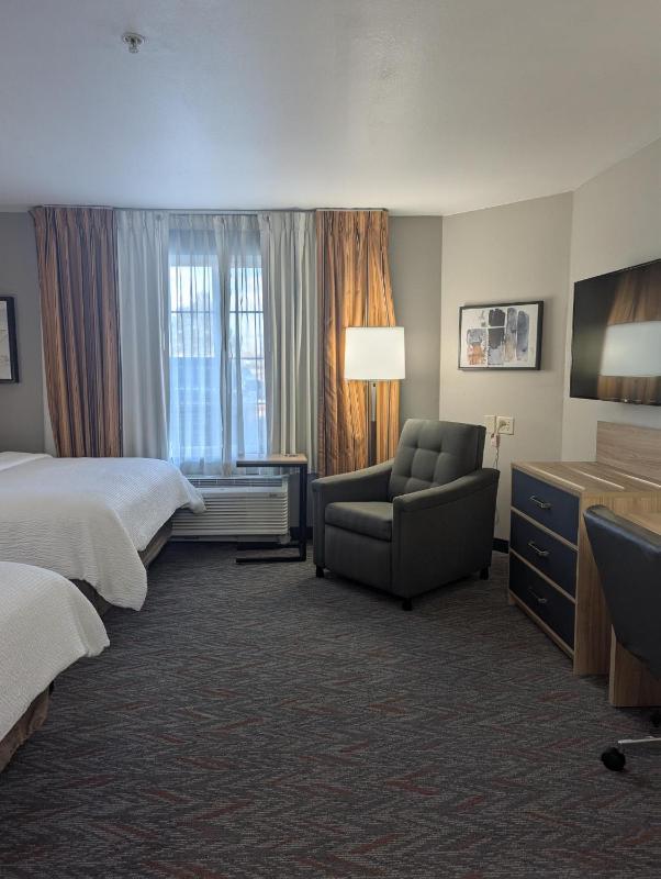 Studio Suite with Two Double Beds image 3