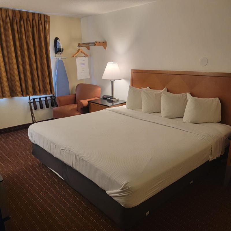 King Room - Non-Smoking image 3