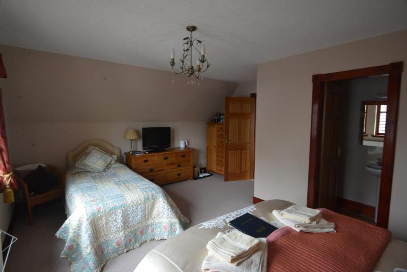 Deluxe King Room image 4