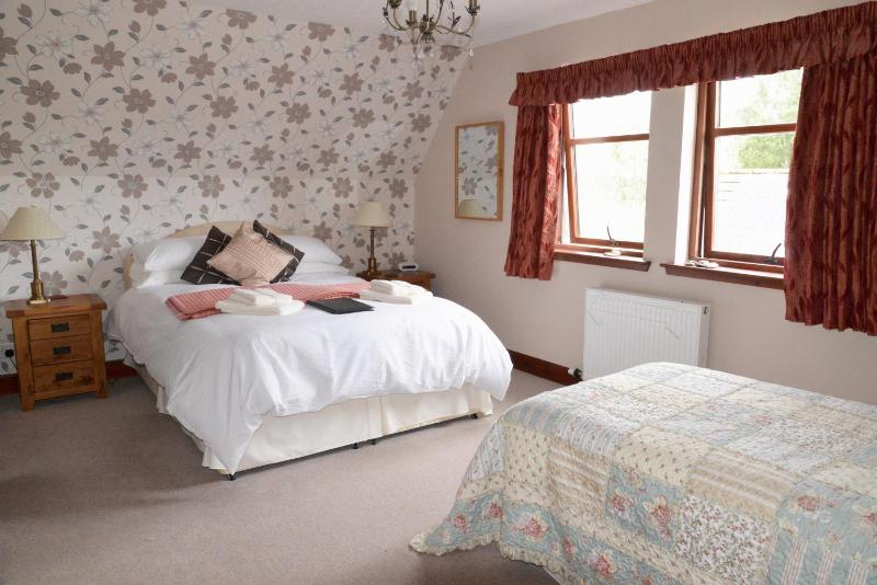 Deluxe King Room image 2