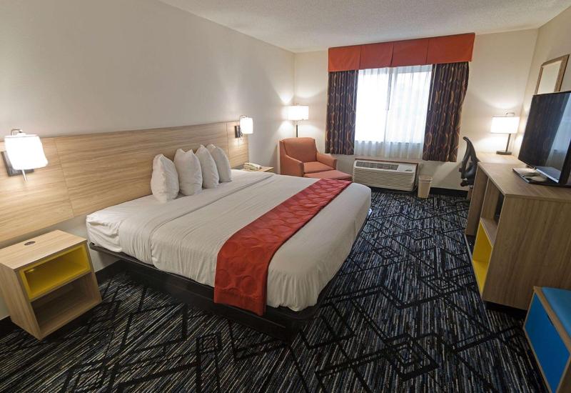 1 King Bed, Accessible Room, Non-Smoking image 1