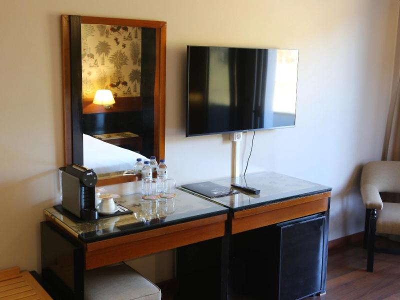 Superior Double Room image 3