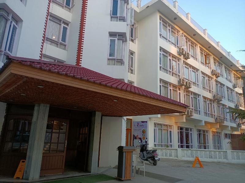 zoz dal - image 7