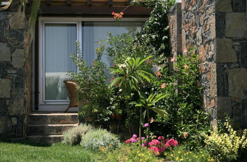 Classic Bungalow, Garden View image 3