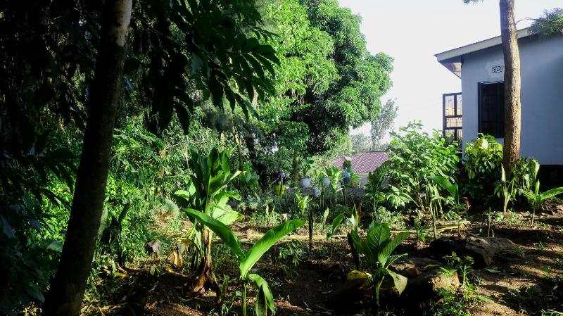 Eheruro Homestay - image 6