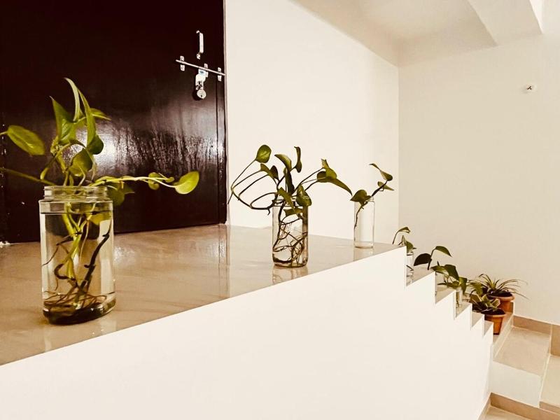 Serenity Cozy 1BHK Retreat - image 12