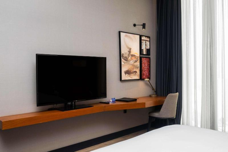 Radisson Blu Hotel & Conference Center Niamey - image 15