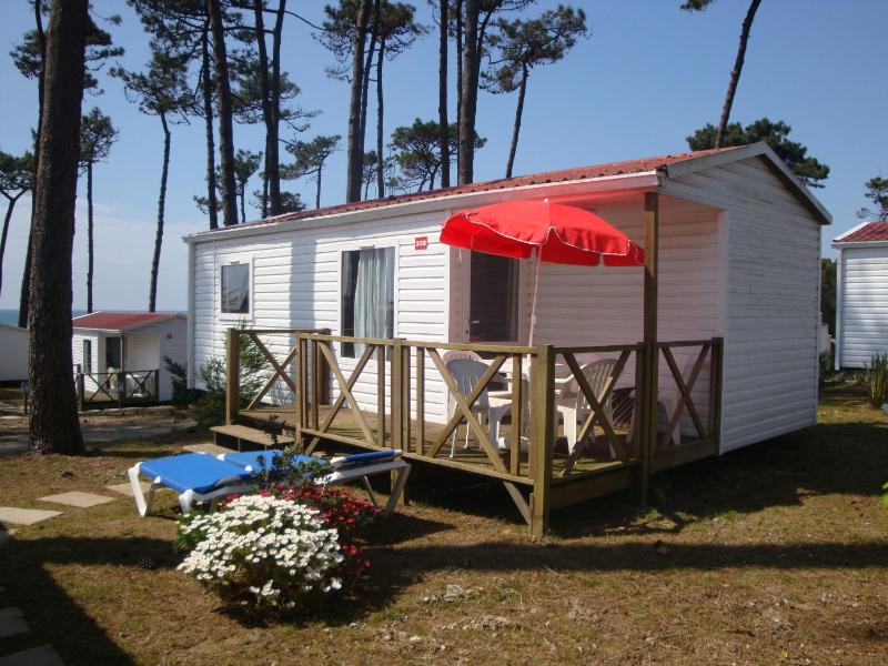 Caravan (5 Adults) image 1