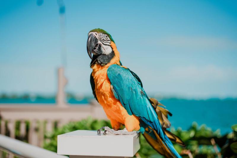 Hyatt Centric Key West Resort And Spa - image 26