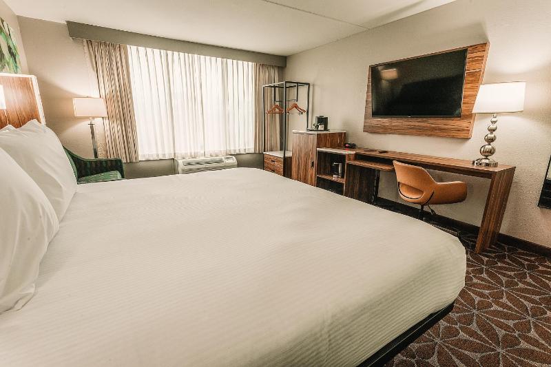 Junior King Suite - Non-Smoking image 2