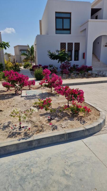 Hawana Salalah Poolside Apartment - image 27
