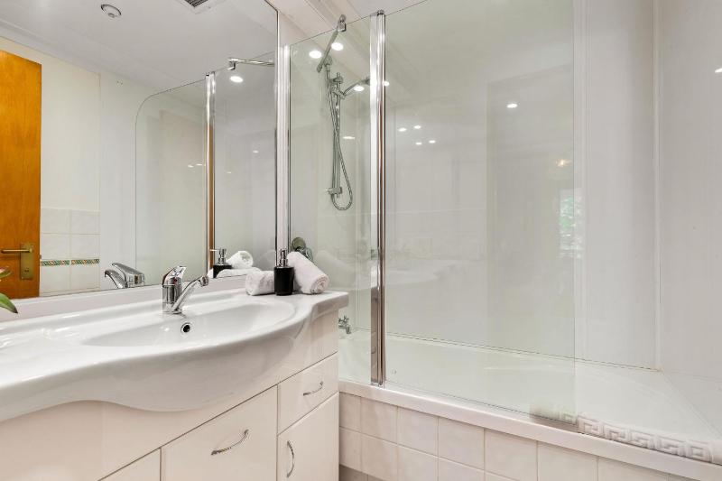 Distinctive Aspen Apartments - image 11