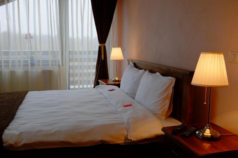 King Room with Mountain View image 2