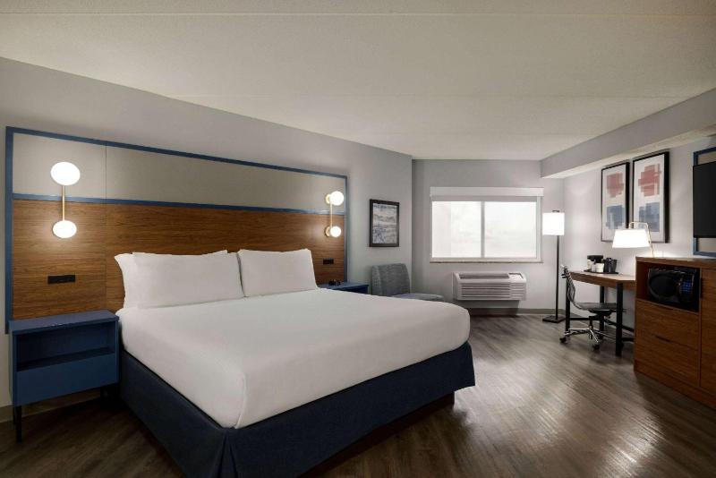 Deluxe King Room image 3
