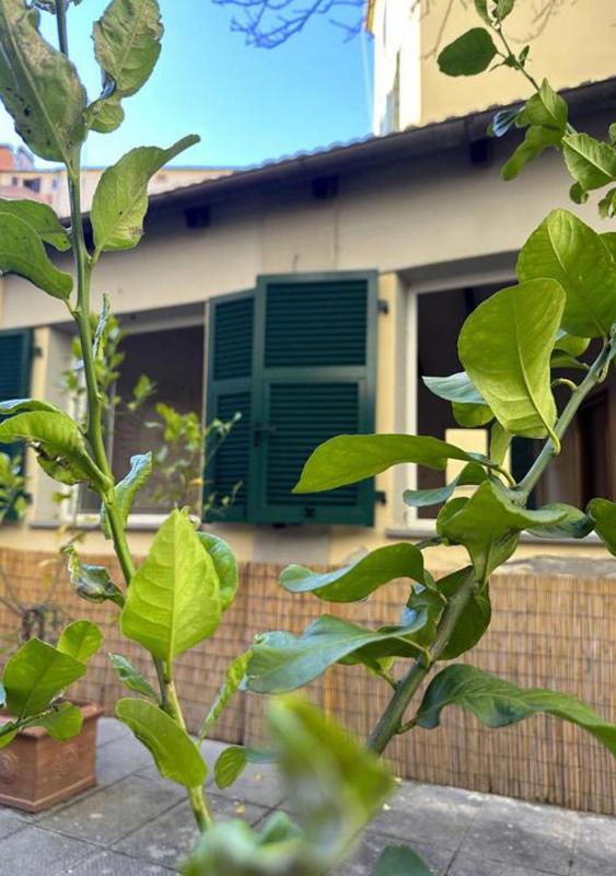 Boutique Hotel Novecento - image 38