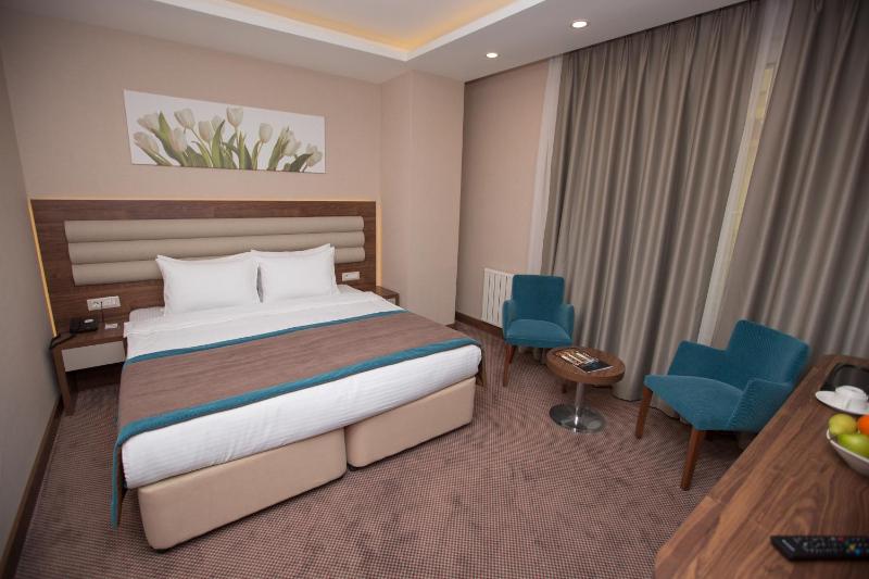 Deluxe Suite image 4