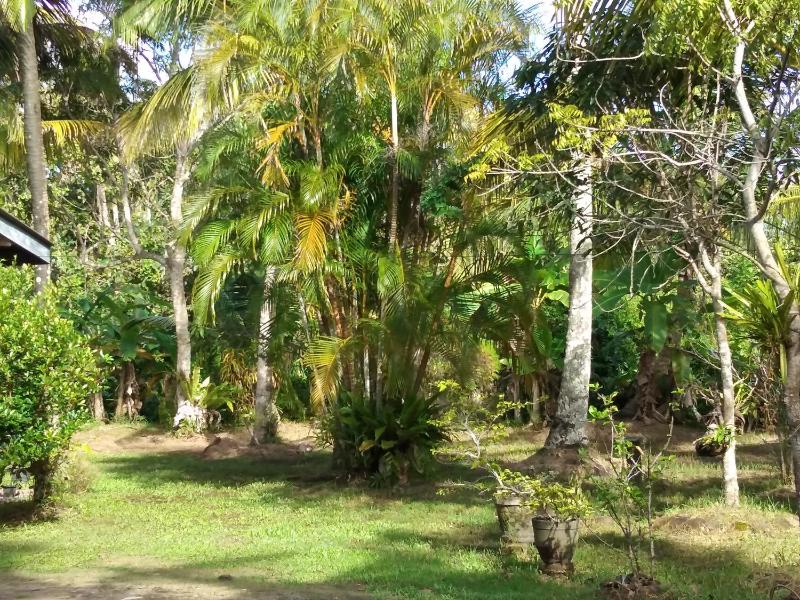 Rasara Home Stay Ahangama - image 14