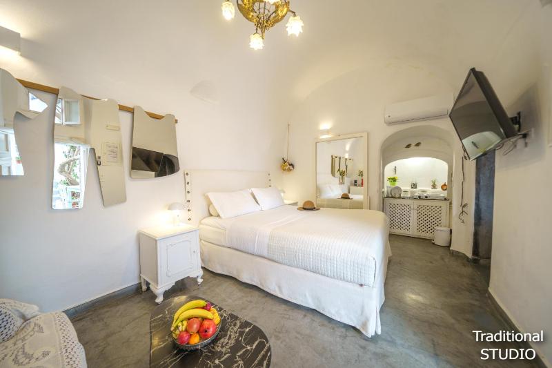 Santorini Paradise Cave Houses - image 17