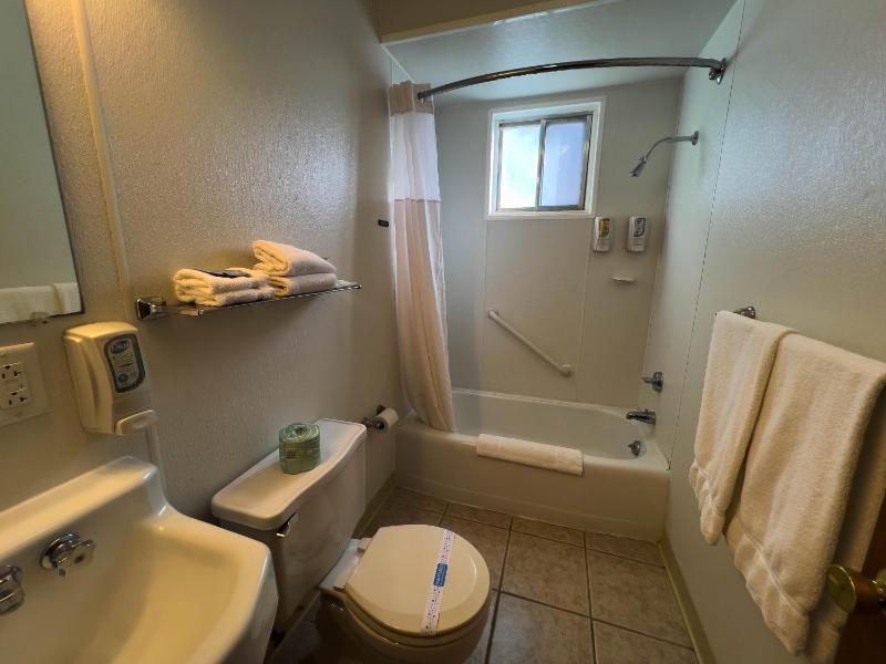 Standard Double Room image 3